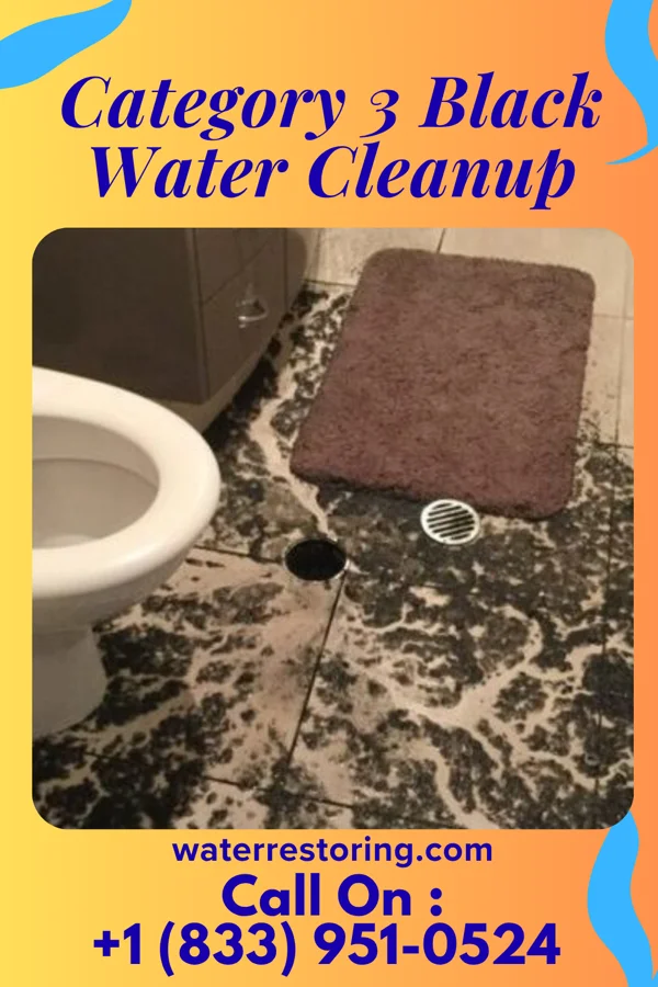 Category 3 Black Water Cleanup in Elizabeth, PA