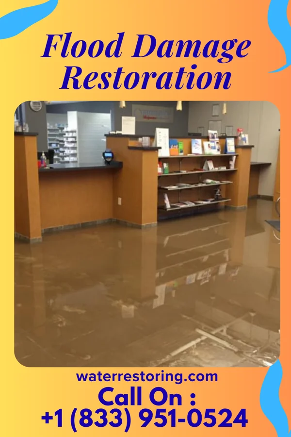 Flood Damage Restoration in Elizabeth, PA
