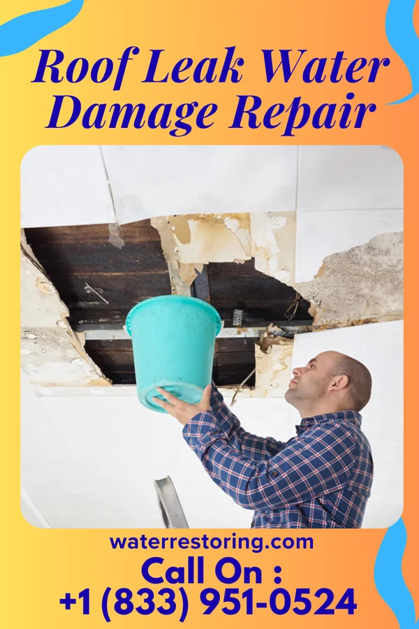 Roof Leak Water Damage Repair in Elizabeth, PA